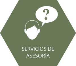 Servicios de asesoria - Pragmatis Asesores